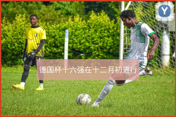 德国杯十六强在十二月初进行